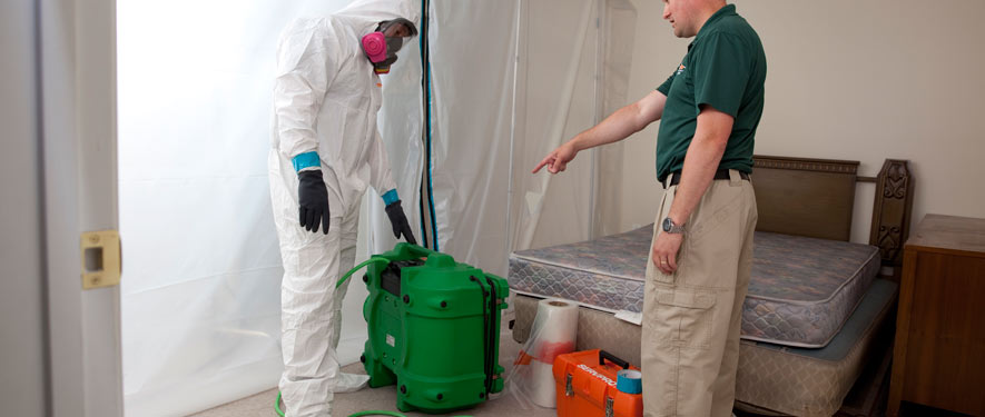 Irving, TX mold removal process